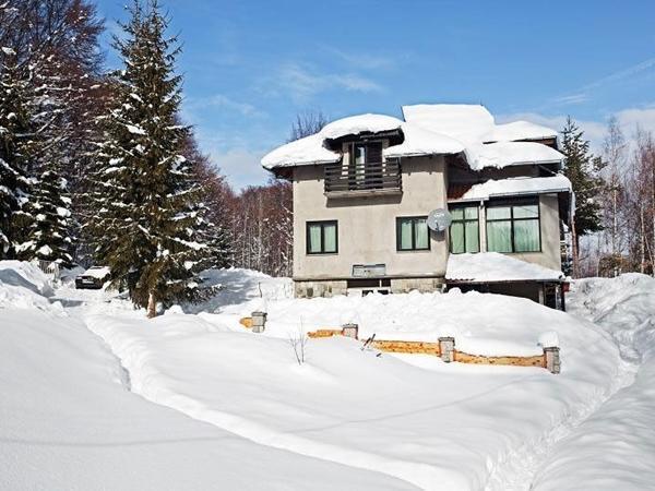 Hotel 3M Pansioni Vlasina Rid Zewnętrze zdjęcie