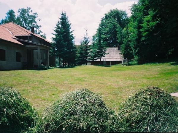 Hotel 3M Pansioni Vlasina Rid Zewnętrze zdjęcie